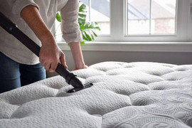Cách diệt bọ chét trong nhà hiệu quả, tiết kiệm chi phí