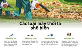 Máy thổi lá có những loại nào? Địa chỉ mua uy tín, chất lượng