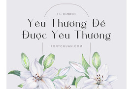 Font chuẩn – thiên đường font Việt hóa, nâng tầm mọi ý tưởng thiết kế