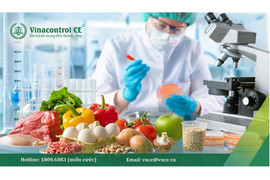 Chứng nhận HACCP CODEX 2022: Hướng dẫn triển khai từ A – Z cho doanh nghiệp