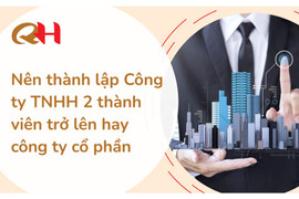 Nên thành lập Công ty TNHH 2 thành viên trở lên hay công ty cổ phần