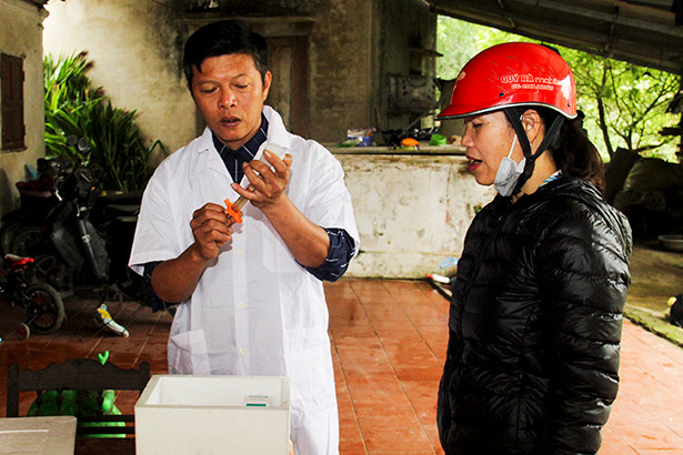 Đức Thọ triển khai tiêm vắc-xin viêm da nổi cục trên đàn bò