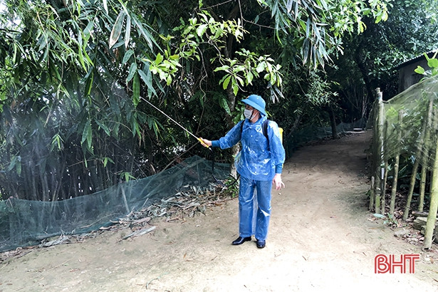 Đức Thọ triển khai tiêm vắc-xin viêm da nổi cục trên đàn bò