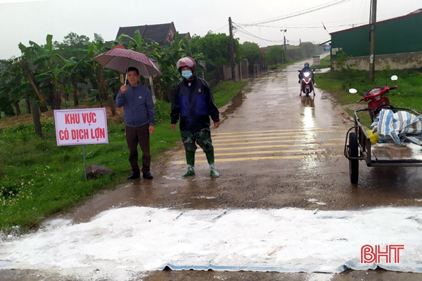 Tiêu hủy 20 con lợn mắc dịch tả lợn Châu Phi ở huyện Kỳ Anh