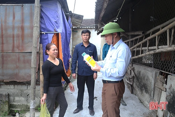 Dịch tả lợn châu Phi lan rộng, Hà Tĩnh ráo riết phòng ngừa