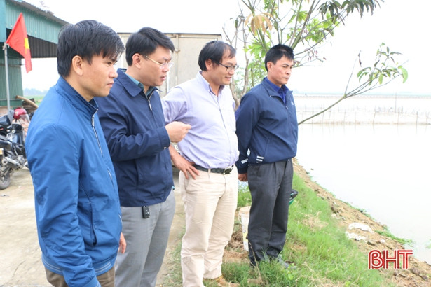 TP Hà Tĩnh thả 1 vạn giống cá, tái tạo nguồn lợi thủy sản