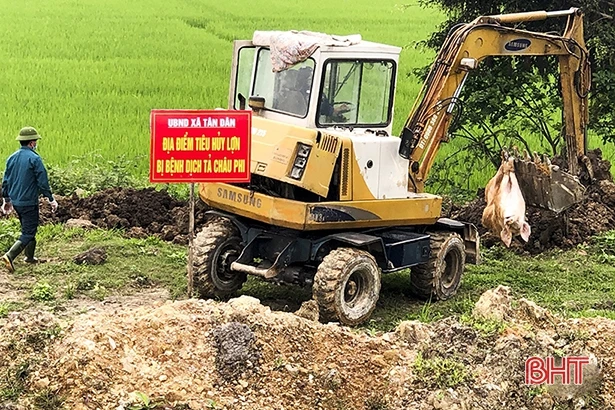 Dịch tả lợn châu Phi lan rộng, Hà Tĩnh ráo riết phòng ngừa