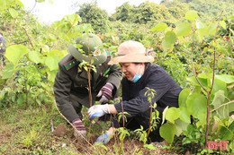 Xã ven biển Hà Tĩnh trồng 20.000 cây xanh dịp đầu xuân