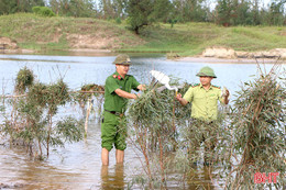 Theo chân lực lượng chức năng "đột kích" phá bẫy chim trời