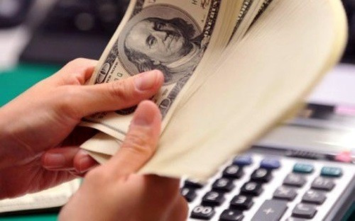 Ngân hàng Nhà nước chủ trì, phối hợp với Bộ Tài chính, Bộ Kế hoạch và Đầu tư dự báo mức vay nước ngoài tự vay hàng năm