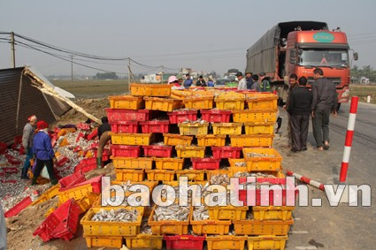Nhiều người dân còn đứng ra hỗ trợ lực lượng an ninh, nhà xe điều hành giao thông, giúp nhà xe thu gom cá một cách thuận lợi.