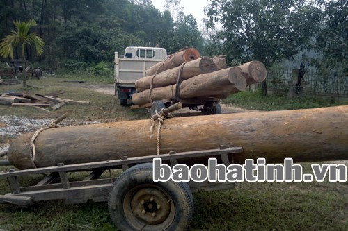 Tang vật bị thu giữ