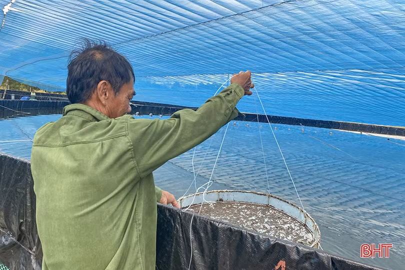 Ứng dụng công nghệ trong nuôi tôm vụ thu - đông ở Hà Tĩnh