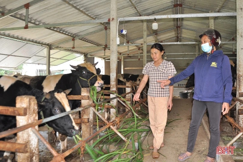 Dư nợ chính sách ủy thác qua Hội Nông dân Hà Tĩnh đạt hơn 2 nghìn tỷ đồng