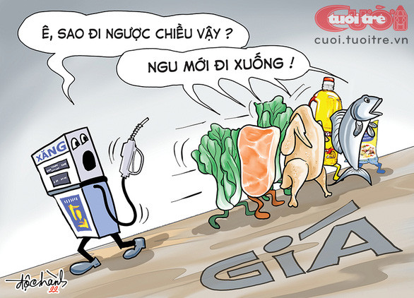 Lên đến đây rồi xuống làm chi?