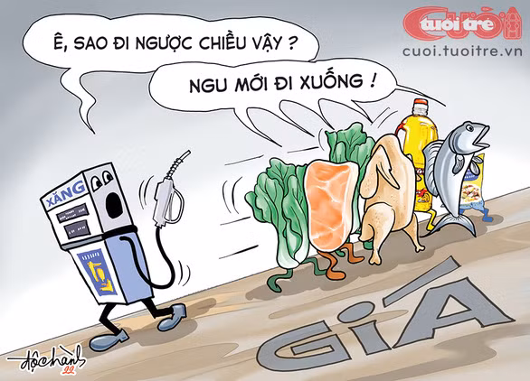 Lên đến đây rồi xuống làm chi?