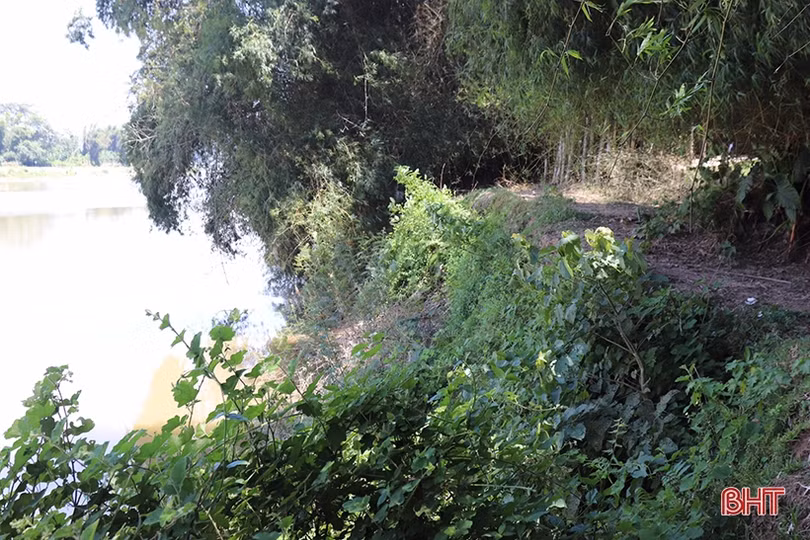 Bờ sông Ngàn Phố sạt lở, người dân Đức Thọ đứng ngồi không yên!