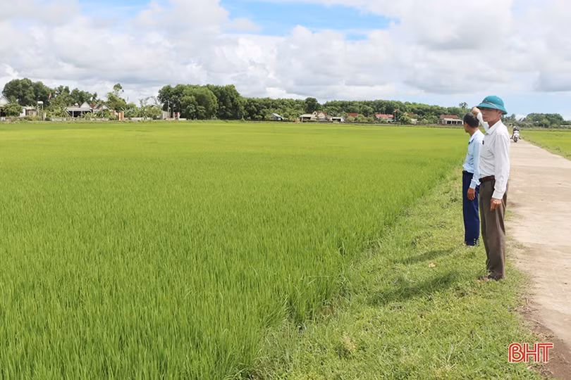 3 địa phương ở Hà Tĩnh hoàn thành kiểm đếm GPMB cao tốc Bắc – Nam