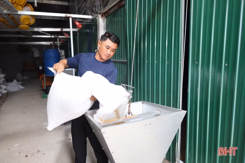 Thanh niên vùng giáo Hà Tĩnh phát triển chăn nuôi gà liên kết quy mô lớn