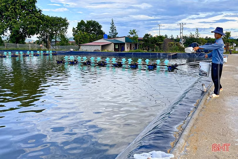 Ứng dụng công nghệ trong nuôi tôm vụ thu - đông ở Hà Tĩnh