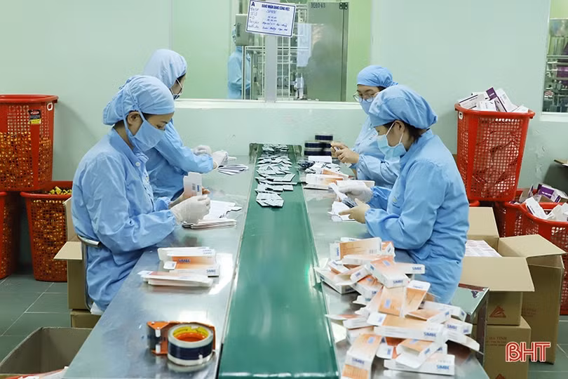 Hà Tĩnh có gần 500 doanh nghiệp lĩnh vực công nghiệp chế biến - chế tạo