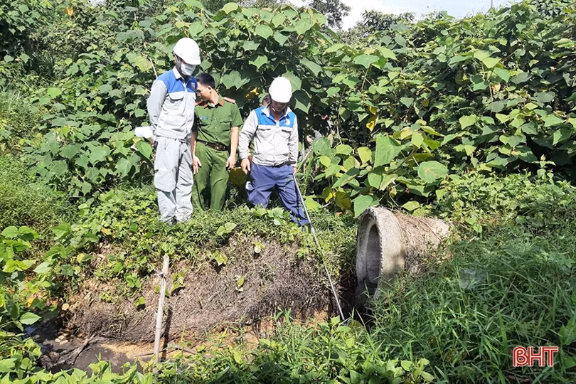 Lộc Hà ra quân thu dọn bèo tây, rác thải dọc bờ sông, bãi biển