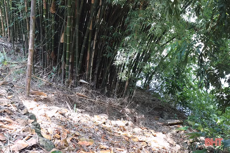 Bờ sông Ngàn Phố sạt lở, người dân Đức Thọ đứng ngồi không yên!