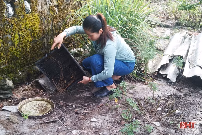 Hà Tĩnh tập trung khống chế 4 ổ dịch sốt xuất huyết