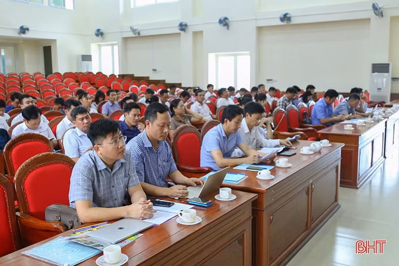 Hà Tĩnh đa dạng hóa các loại cây trồng tránh thiên tai, tăng giá trị sản xuất