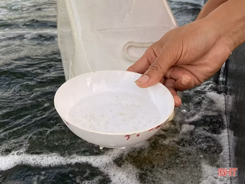 Ứng dụng công nghệ trong nuôi tôm vụ thu - đông ở Hà Tĩnh