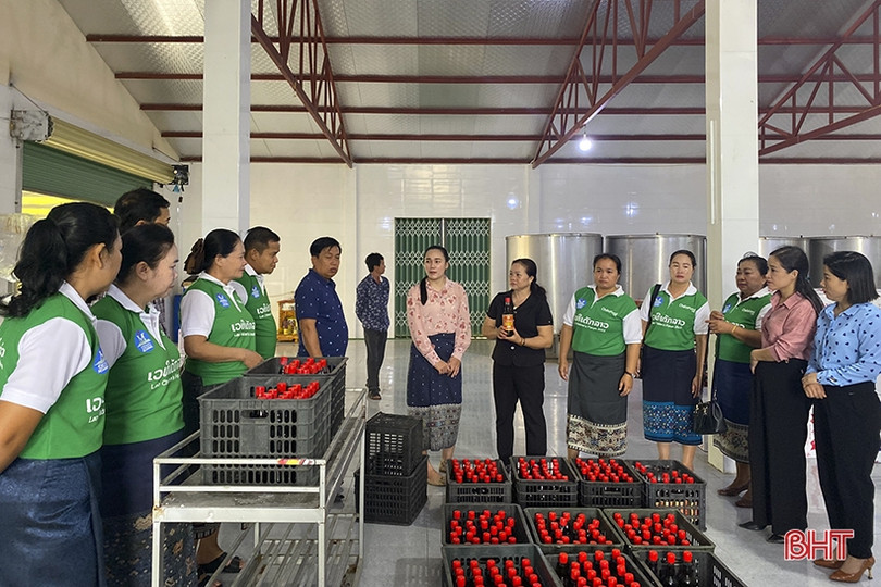 Đoàn công tác Liên hiệp phụ nữ tỉnh Khăm Muộn dâng hương các địa chỉ đỏ ở Hà Tĩnh