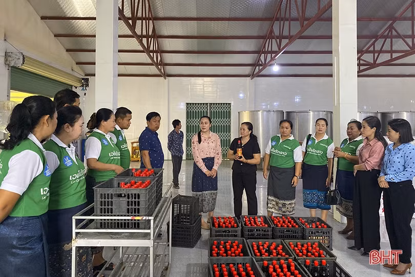 Đoàn công tác Liên hiệp phụ nữ tỉnh Khăm Muộn dâng hương các địa chỉ đỏ ở Hà Tĩnh