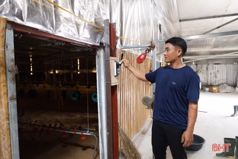 Thanh niên vùng giáo Hà Tĩnh phát triển chăn nuôi gà liên kết quy mô lớn