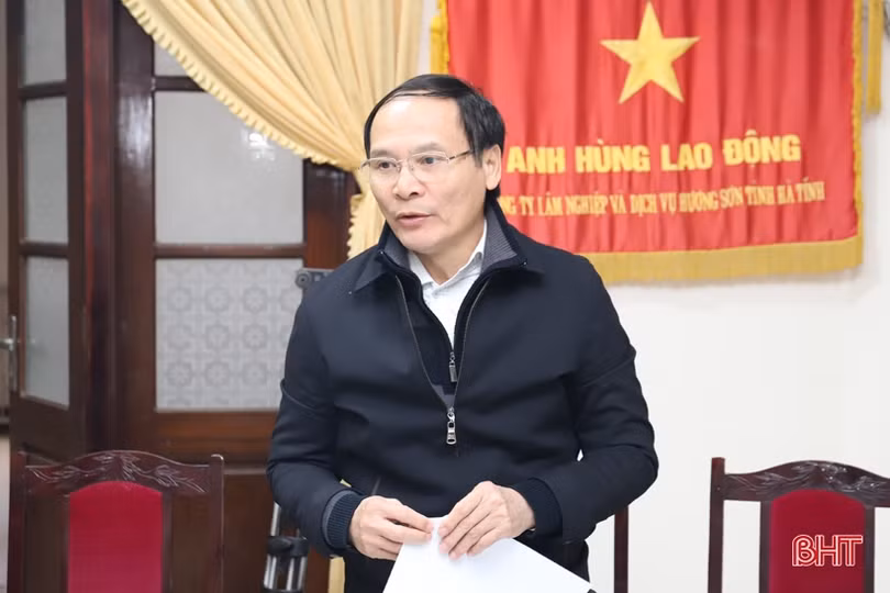 Xử lý nghiêm các trường hợp vi phạm pháp luật về bảo vệ rừng