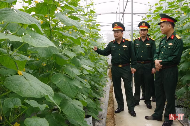 Thực phẩm tươi ngon cho bộ đội ăn tết