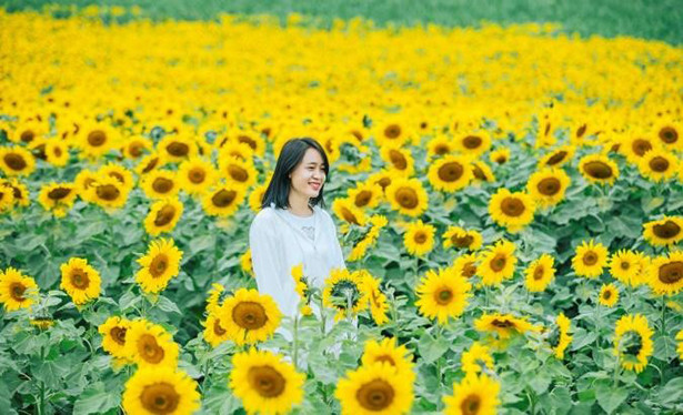 BestPrice.vn tặng ưu đãi tới 1.5 triệu đồng khi đặt vé máy bay đi Vinh