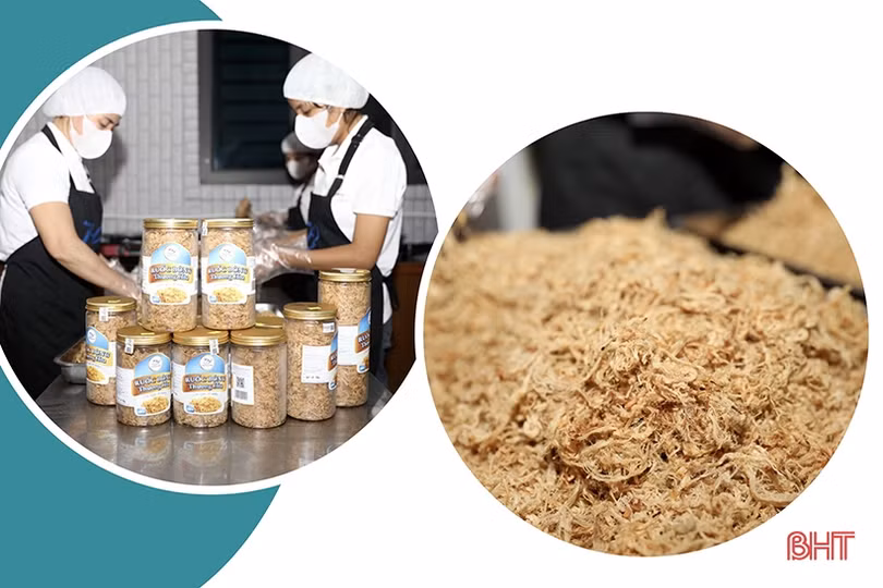 Từ thực phẩm gia đình thành sản phẩm OCOP 3 sao của Hà Tĩnh