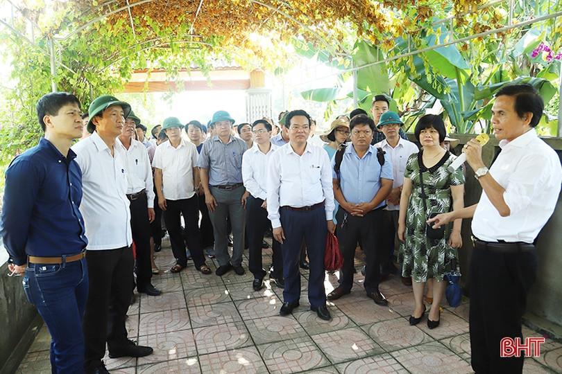 Mô hình thu gom, xử lý nước thải hộ gia đình ở Hà Tĩnh đạt kết quả khả quan