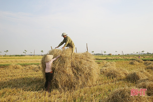 Người dân Hà Tĩnh vất vả chống chọi với nắng nóng gay gắt