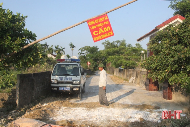 Hà Tĩnh xuất hiện dịch tả lợn châu Phi