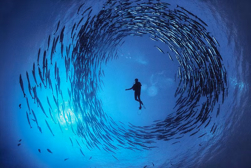 Ấn tượng những bức ảnh trong đời thực tưởng chỉ có trên phim