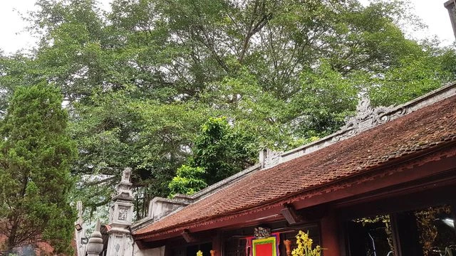 “Cây đa di sản” hơn 300 tuổi có chu vi lớn nhất Việt Nam