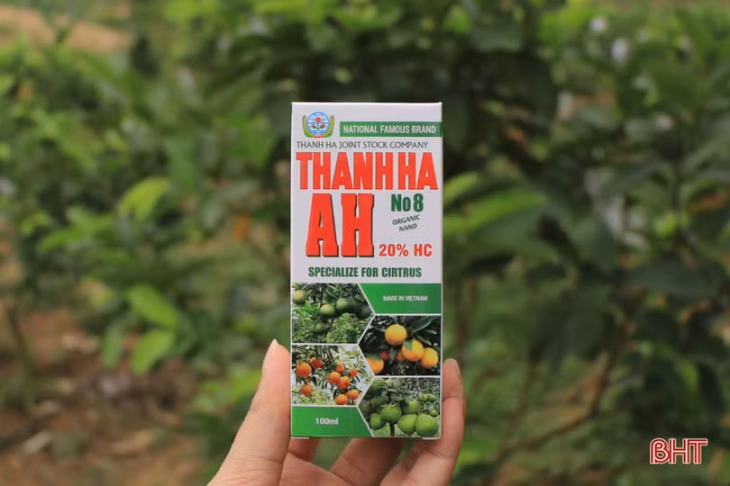 “Thấm” nông nghiệp 4.0, nhà nông Hà Tĩnh dùng công nghệ sinh học “nuôi” cam VietGap