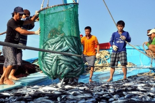 Ảnh minh họa Vi phạm hành chính trong lĩnh vực thủy sản bị phạt tới 1 tỷ đồng