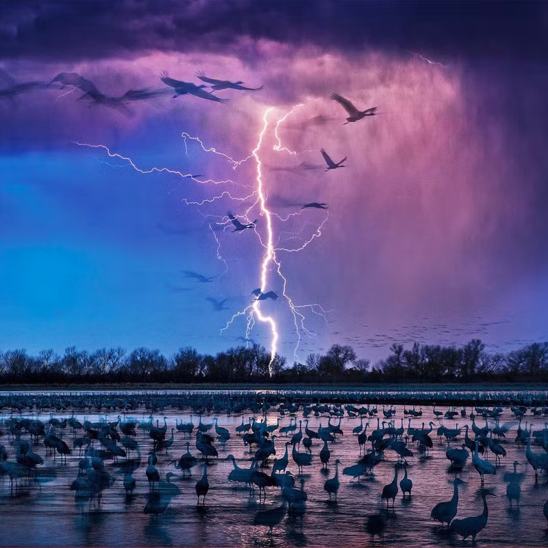 Ấn tượng những bức ảnh trong đời thực tưởng chỉ có trên phim