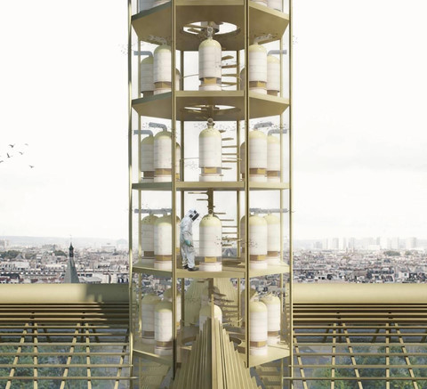 Diện mạo mới của nhà thờ Đức Bà Paris trông như thế nào? ảnh 5 Diện mạo mới của nhà thờ Đức Bà Paris trông như thế nào?