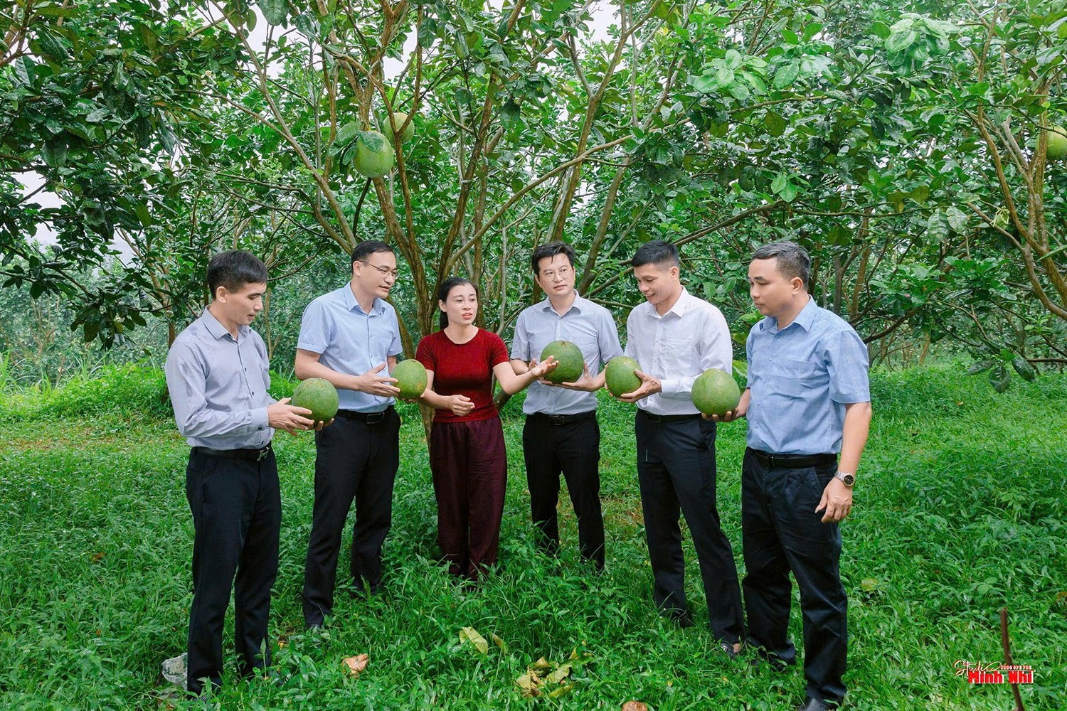 Chủ tịch Hội Nông dân tỉnh Nguyễn Đình Dũng thăm mô hình Vườn bưởi da xanh của Công ty TNHH BATO Việt Nam tại thôn Kim Thành, xã Sơn Tây.