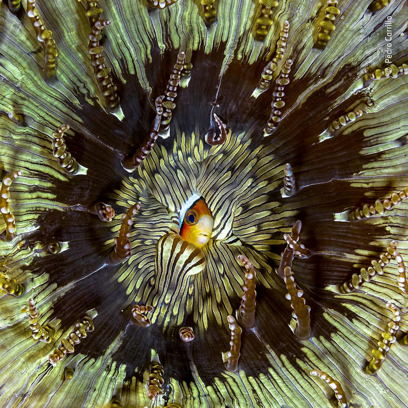 Những bức ảnh động vật đẹp nhất năm 2018 hình ảnh 7 Những bức ảnh động vật đẹp nhất năm 2018