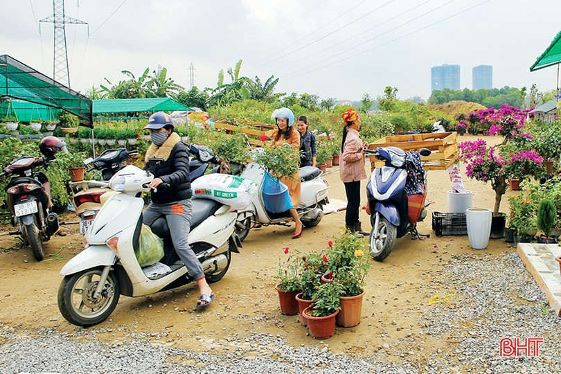 Dồn bước trước thềm năm mới 2019