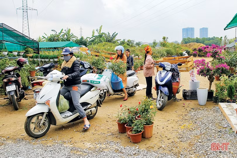 Dồn bước trước thềm năm mới 2019